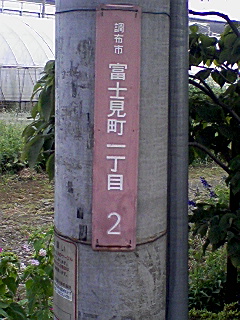 zsxmP